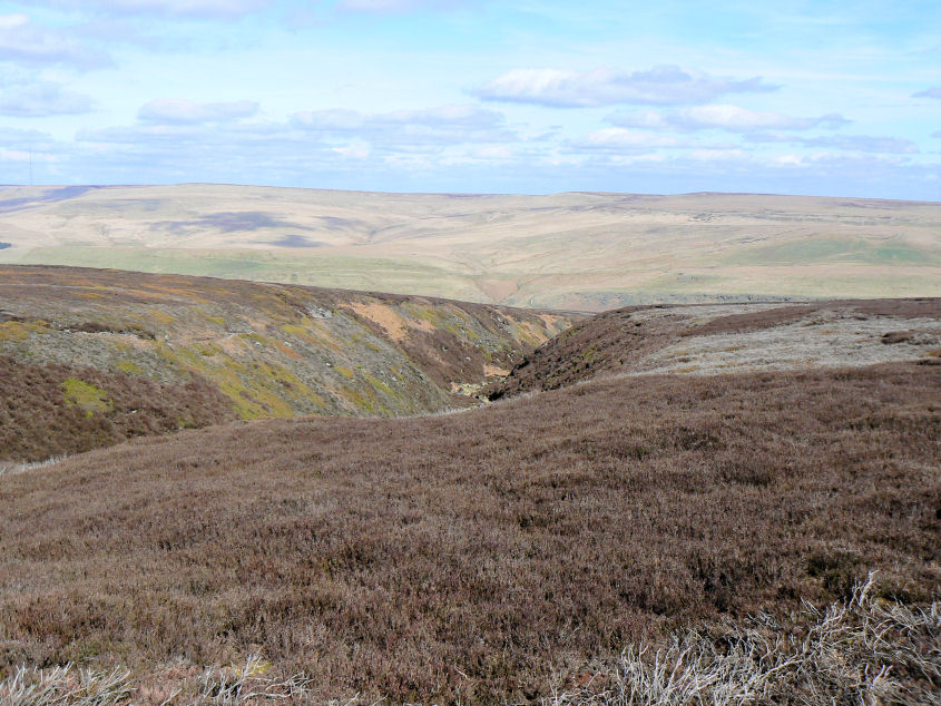 Withens Moor Withens Moor
